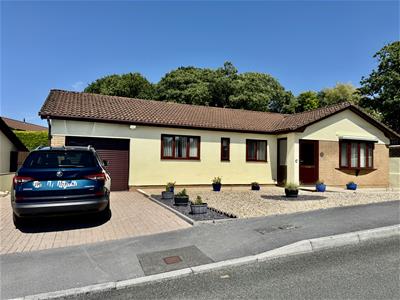 Picture 19